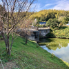 四季の郷公園の「池」（和歌山県和歌山）