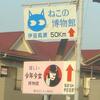 suspicious museum　怪博物館