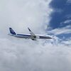 FSX リペイント AIRBUS A321 ANA_JA111A色塗り中