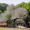 2024/05/04 新緑の中を駆け抜けるD51200