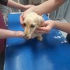 そらくる検査結果