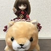 過去に撮影した写真たち