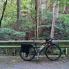 ニシキ レボリューション EG で、林道牛滝線から和泉葛城山に登ってきた！＆水出しハイビスカスティーを実戦投入した。
