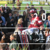 22/04/09 National Hunt Racing - Grand National Result