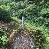 今日も低山、塔倉山。疲れてるので目桑コースです。