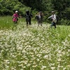 山形蔵王　　　　　　　　2023年7月17日（月）