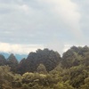 今朝の景色