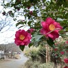 神の平和に生きよう