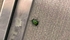 聖なる虫
