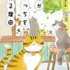 猫がこっちを見る理由