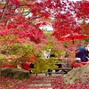 【永観堂】🍁秋はもみじの永観堂🍁は予想以上に混雑してエグかった件😱