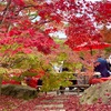 【永観堂】🍁秋はもみじの永観堂🍁は予想以上に混雑してエグかった件😱