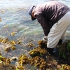 季節の恵みと料理の楽しみ