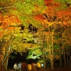 香雪園＆駒ケ岳ダムツアー【道南紅葉名所めぐり】