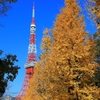 写真いろいろ　340　浜松町〜有楽町