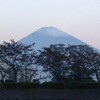 秋の東山湖さんへ　〜ぼんどさん、くるみのパパさんと友釣り