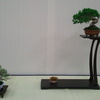 <span itemprop="headline">相模の会展示会2</span>