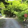 緑の中へ消えていく石段・・・【東近江　雨宮龍神社】