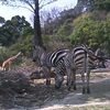 さらに、のいち動物公園