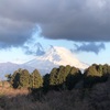 今朝の景色