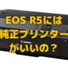 Canon「PIXUS PRO-S1」導入を迷う〜EPSON EP-982A3の色再現性が…〜