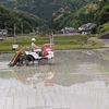 田植え、、のち、シャンソン