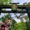 【旅行記】　あずきちゃんがいっぱい47