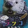 609「飼育員さんおしえて！ラッコのひみつ」～「水族館で飼育されているラッコ」を「飼育員さんの目線」で説明した図鑑