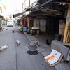 私信、南の島へ。