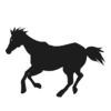 【追い切り注目馬（先週の回顧）】【萩S】他　2024/10/26(土) 東京・京都・新潟競馬　引き続き“線”で狙う