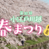 今日から川越は『春まつり』ですが…