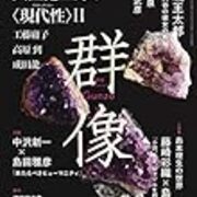 工藤庸子 ドン キホーテからロリータへ 大江健三郎と 晩年の仕事 わたしが猫に蹴っとばされる理由 工藤庸子 ドン キホーテからロリータへ 大江健三郎と 晩年の仕事 わたしが猫に蹴っとばされる理由