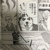 漫画「動物のお医者さん」は子どもにもおすすめです！