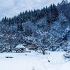 広い範囲で雪の被害が続出しているようです。大事なのは無理をしないことです。