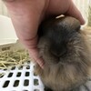 なにかあったのかな？