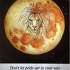 プライドに邪魔されないでください／獅子座の満月　Don't let pride get in your way / Full Moon in Leo