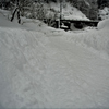 今年は大雪