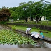 真人公園の池（秋田県横手）