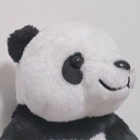 いつだって「今」が最高に輝いているから