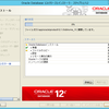 All Windows Serverな環境でOracle Real Application Clusters(RAC)を構築してみる - 6.DBインストール編