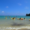 辺野古の海でいま起きていること - あつまれ辺野古！