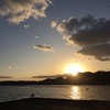 夕焼けの空に舞うカモメ：自転車散歩：ポタリング