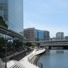 横浜市役所の薔薇と穴場ランチスポット