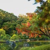 旧古河庭園に紅葉見に行ってきた！