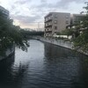 海老川
