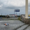 道の駅《ちくら・潮風王国》（前編）　愛犬とおでかけ-千葉県観光🎵　2021年5月1日⑨