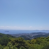 母の老い･･･　(;^ω^)