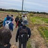 駅からウォーク　大野台地で新じゃが収穫ウォーク