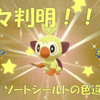 配信者向け 色違いポケモン厳選設備紹介します Club Shiny S Blog 2号館