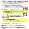 飼い主がもし新型コロナ感染したらかめさんはどうする？